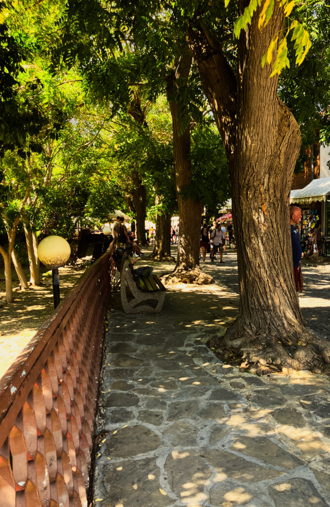 5e59812d 0549 46a9 ae67 dce05599c6cc 2